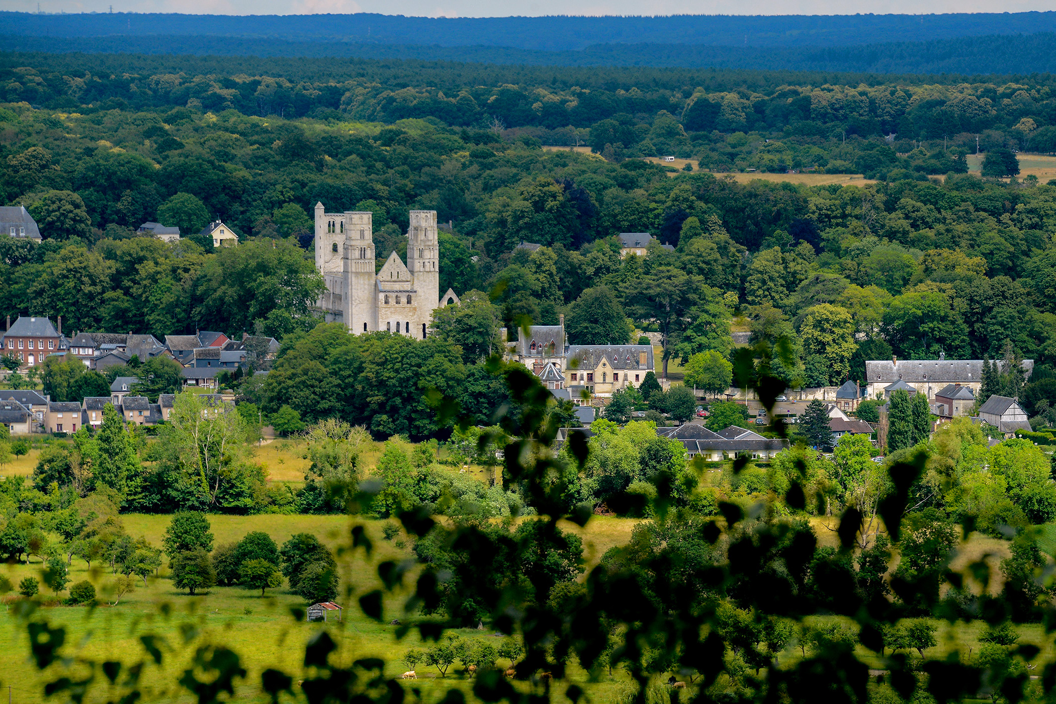 Abbaye de Jumièges vue à distance, au cœur d’un paysage vert • Photo © Stéphane l'Hôte