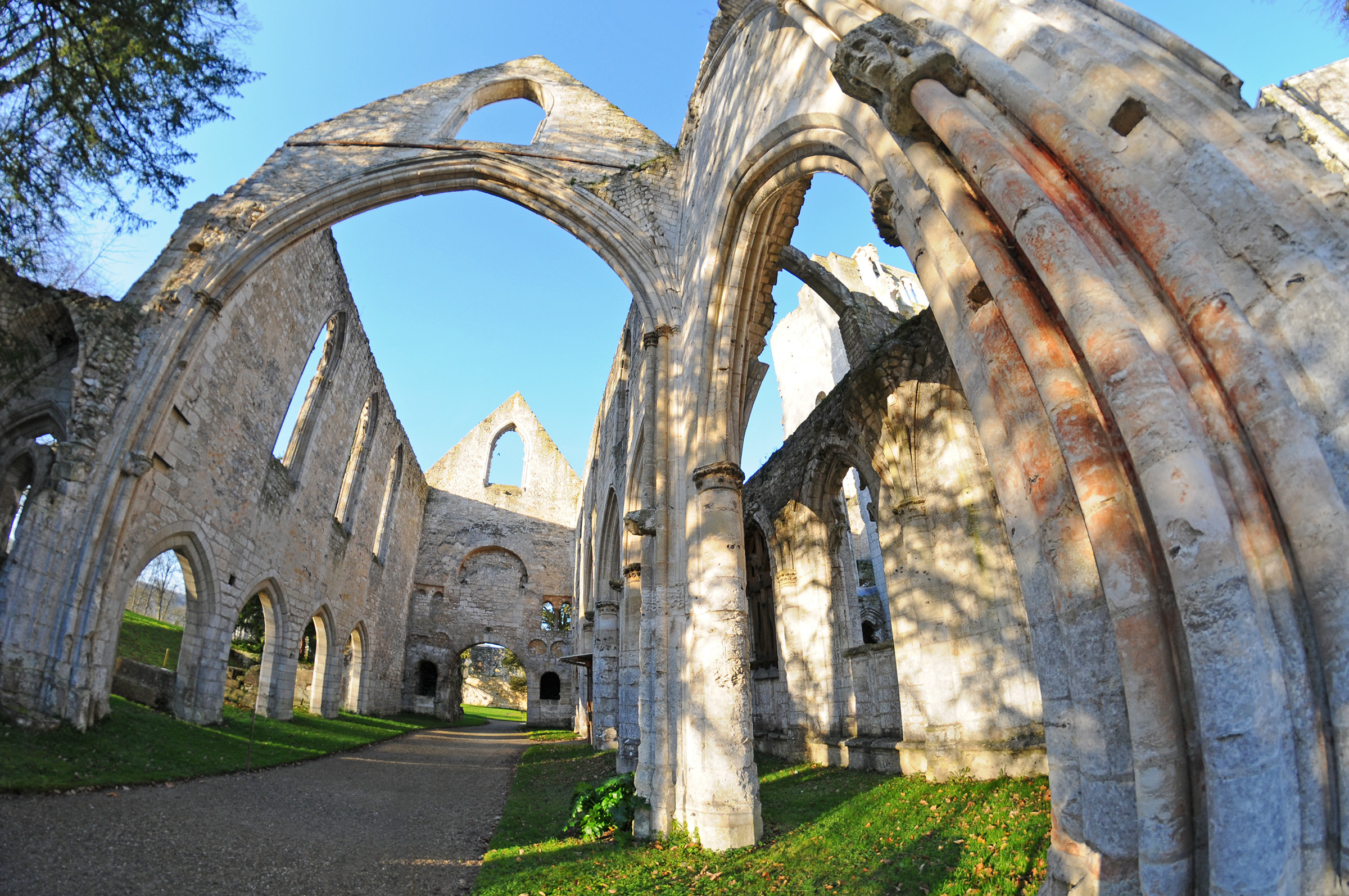 Abbaye de Jumièges, vue grand angle des arches et volumes