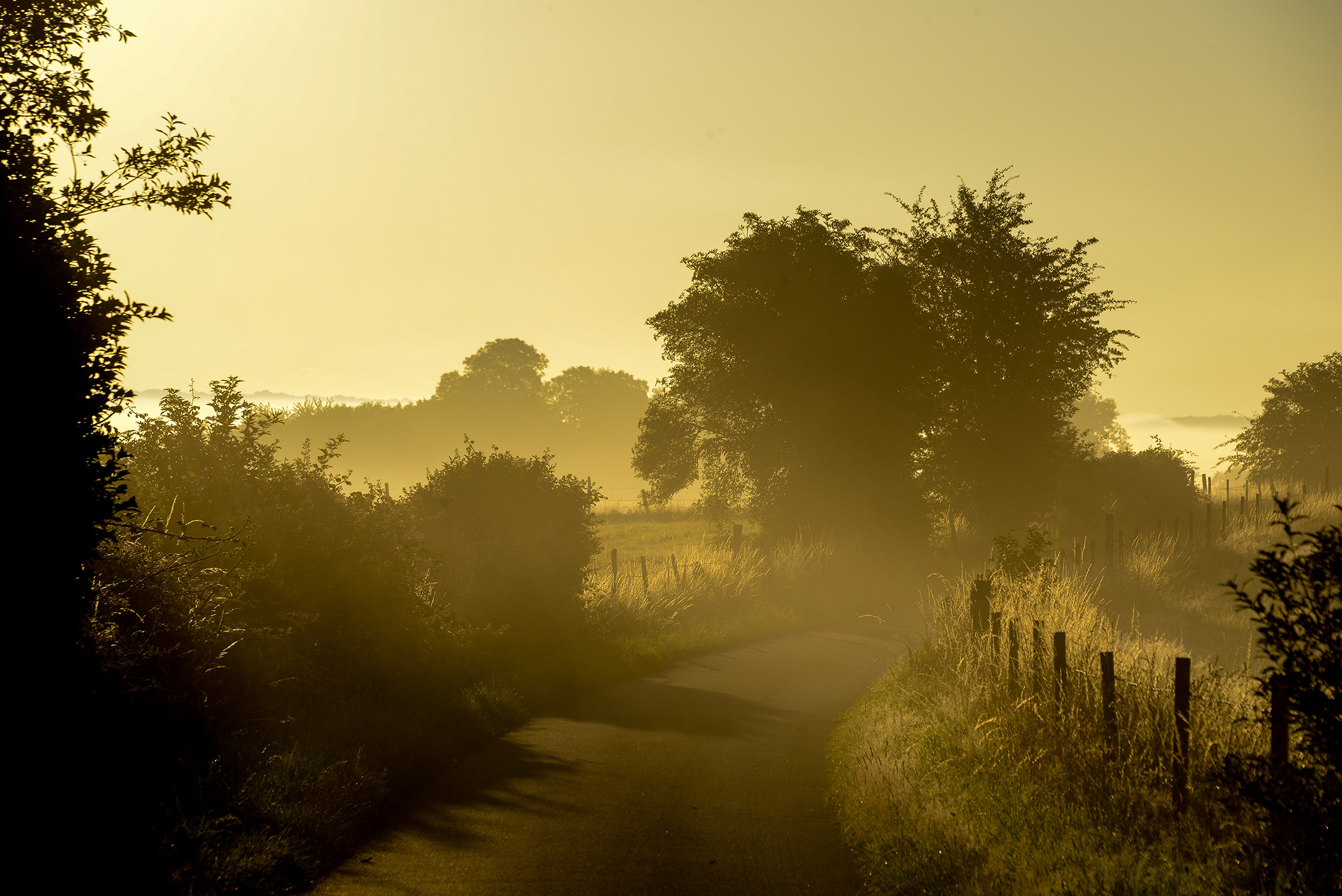 Route de campagne dans la brume matinale près du pont de Brotonne, dans les Boucles de la Seine Normande