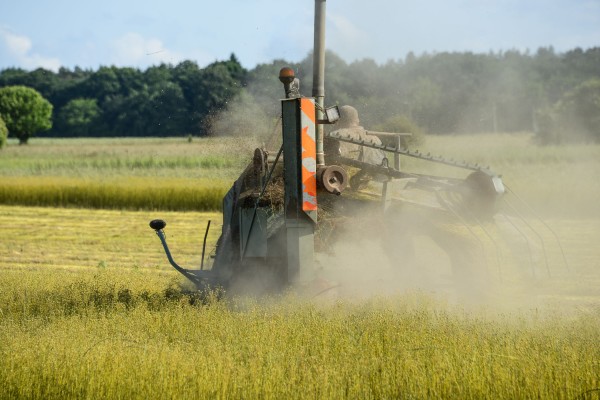 Travaux au champ : l’engin avance dans un nuage de poussière, lumière d’été sur la parcelle. • Photo © Stéphane l’Hôte