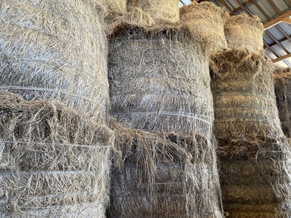 Balles de lin : stockage en gros volumes, fibres compactées. • Photo © Stéphane l’Hôte