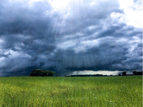 Ambiance orageuse : ciel lourd au-dessus des cultures, caractère maritime. • Photo © Stéphane l’Hôte