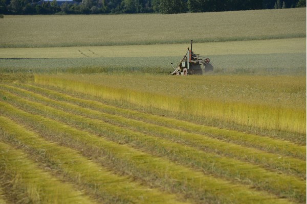 Parcelle au loin : engin agricole dans l’immensité du champ. • Photo © Stéphane l’Hôte