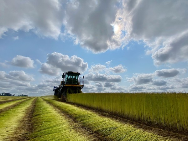 Machine au bout des rangs : travail au champ et ciel contrasté. • Photo © Stéphane l’Hôte