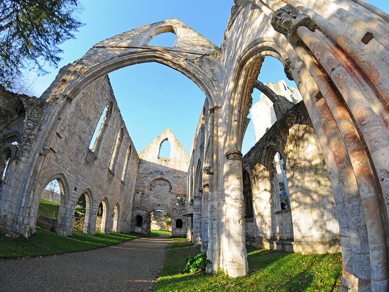 Abbaye de Jumièges : l’architecture ouverte au ciel
