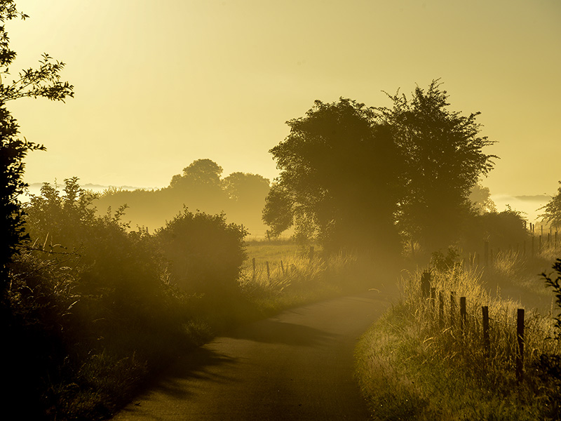 Boucles de la Seine Normande, la route dans la brume